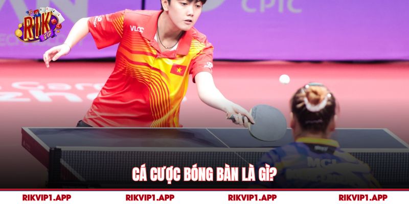 Cá Cược Bóng Bàn Là Gì? 
