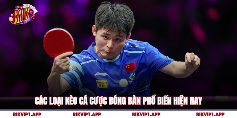 Các Loại Kèo Cá Cược Bóng Bàn Phổ Biến Hiện Nay