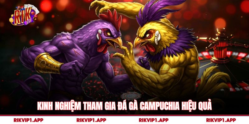 Kinh Nghiệm Tham Gia Đá Gà Campuchia Hiệu Quả